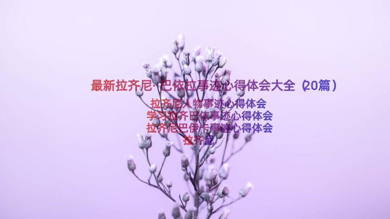 最新拉齐尼·巴依拉事迹心得体会大全（20篇）