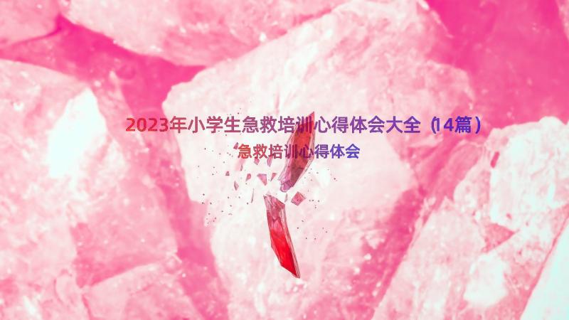 2023年小学生急救培训心得体会大全（14篇）