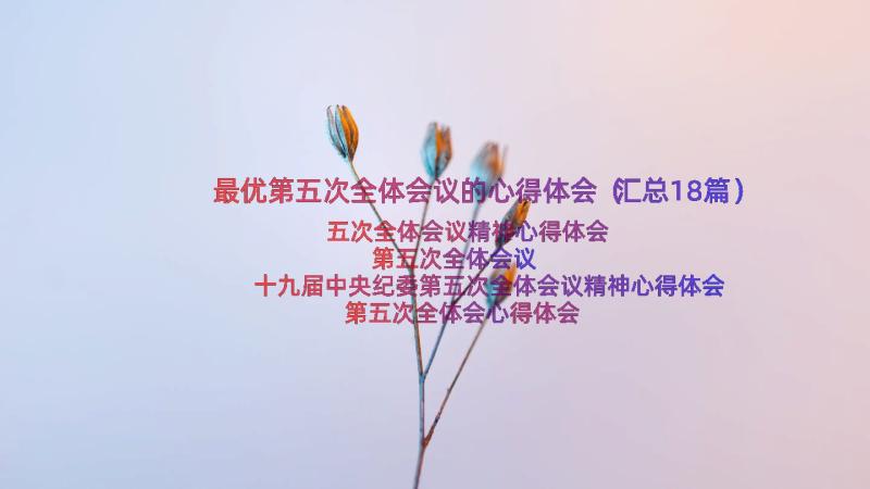 最优第五次全体会议的心得体会（汇总18篇）