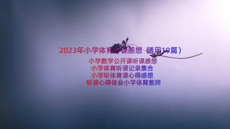 2023年小学体育听课感想（通用19篇）