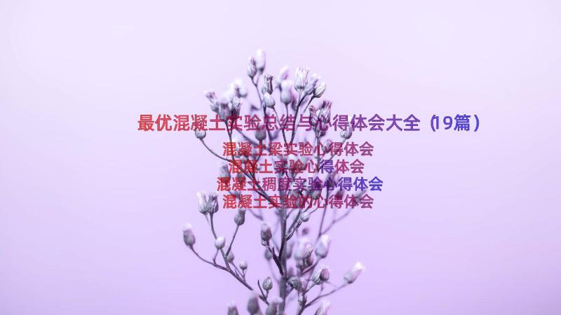 最优混凝土实验总结与心得体会大全（19篇）