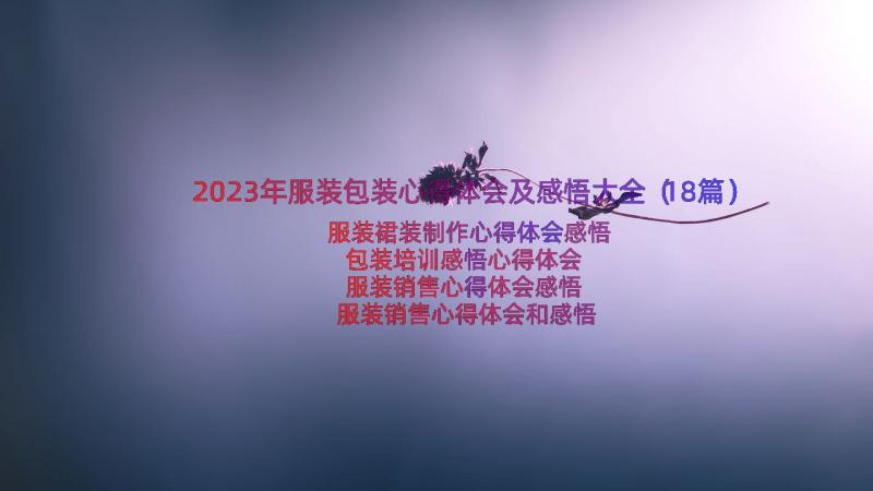 2023年服装包装心得体会及感悟大全（18篇）