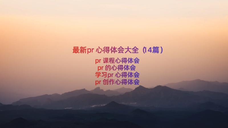 最新pr心得体会大全（14篇）