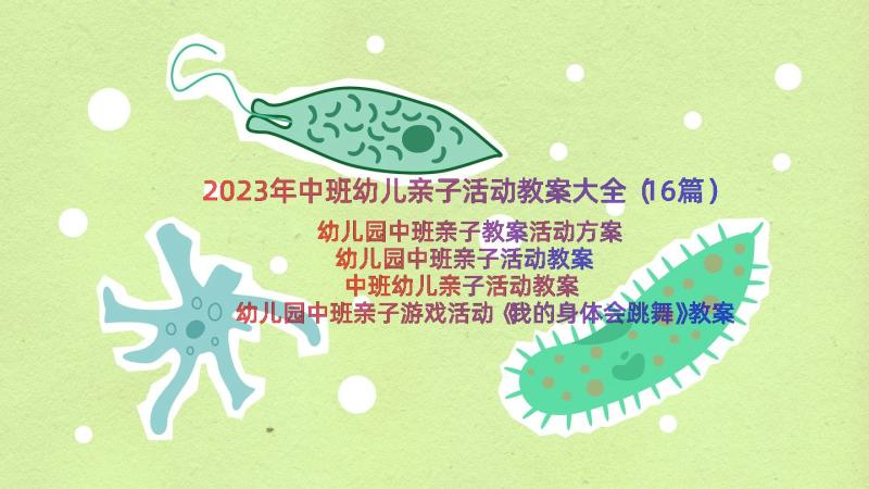 2023年中班幼儿亲子活动教案大全（16篇）