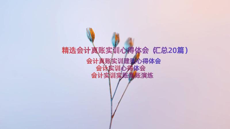 精选会计真账实训心得体会（汇总20篇）