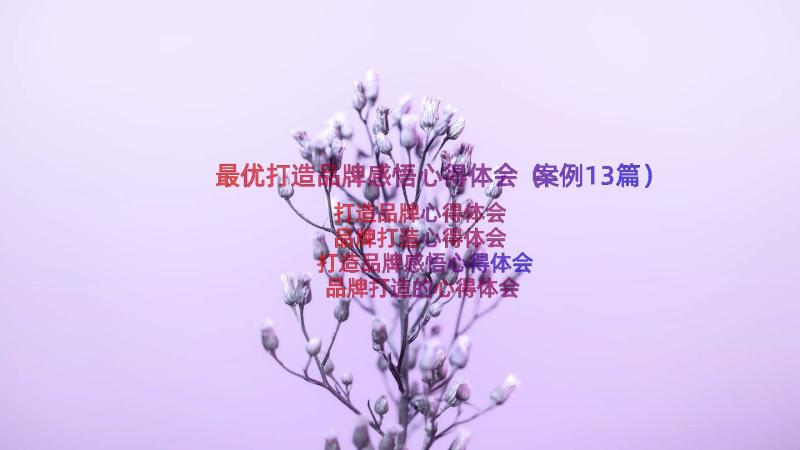 最优打造品牌感悟心得体会（案例13篇）