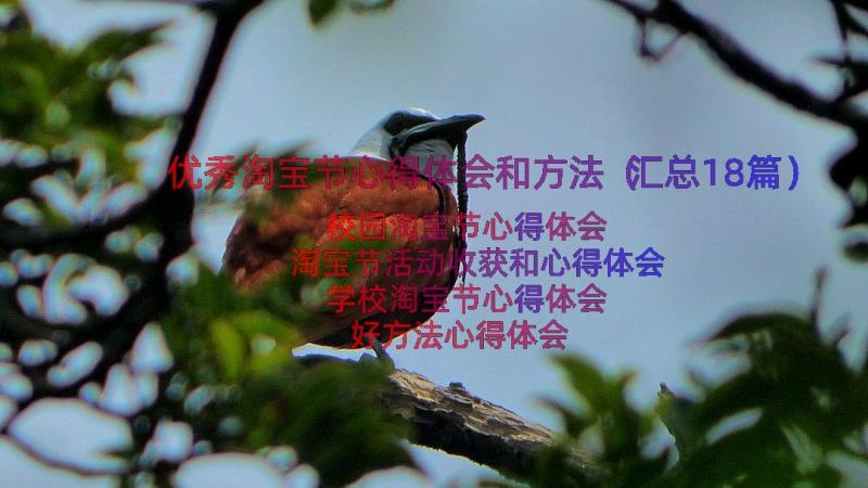 优秀淘宝节心得体会和方法（汇总18篇）