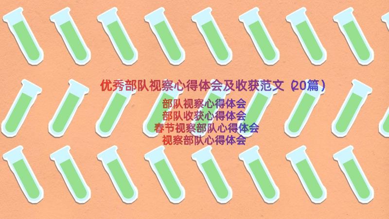 优秀部队视察心得体会及收获范文（20篇）