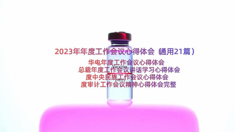 2023年年度工作会议心得体会（通用21篇）