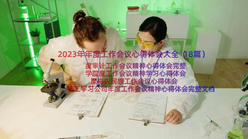 2023年年度工作会议心得体会大全（18篇）