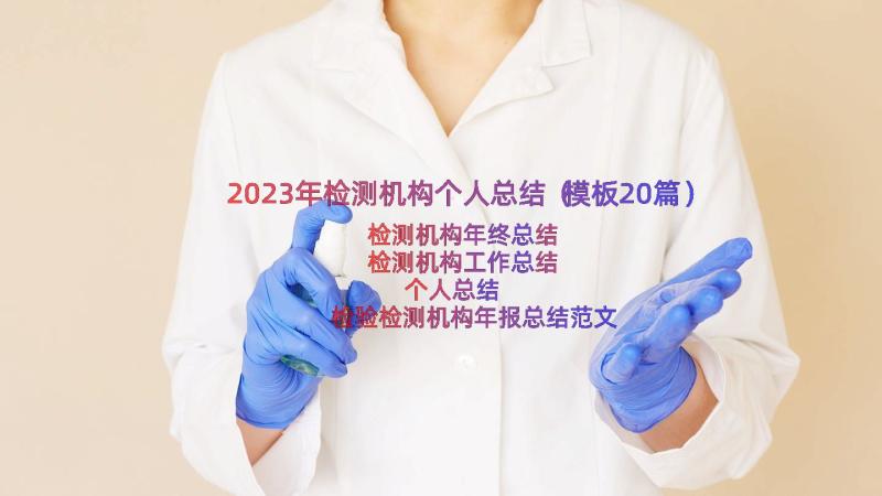 2023年检测机构个人总结（模板20篇）