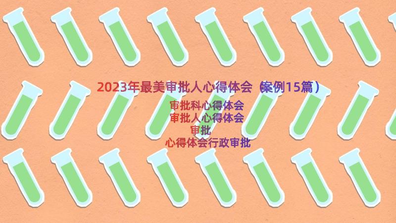 2023年最美审批人心得体会（案例15篇）