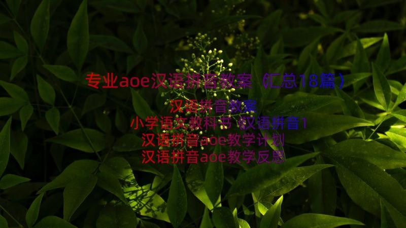 专业aoe汉语拼音教案（汇总18篇）