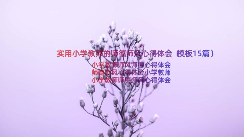 实用小学教师的师德师风心得体会（模板15篇）