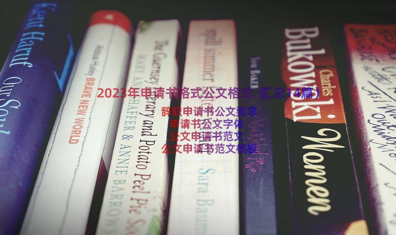 2023年申请书格式公文格式（汇总14篇）