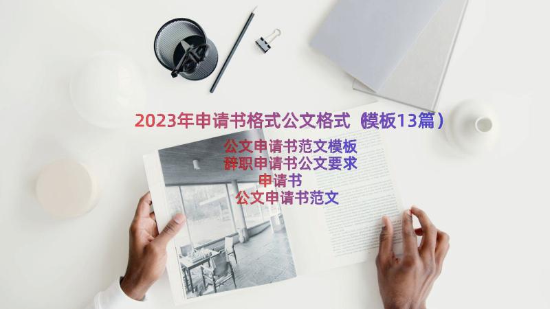 2023年申请书格式公文格式（模板13篇）