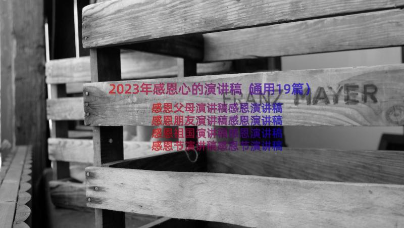 2023年感恩心的演讲稿（通用19篇）