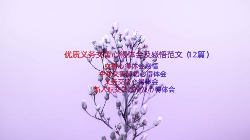 优质义务交警心得体会及感悟范文（12篇）