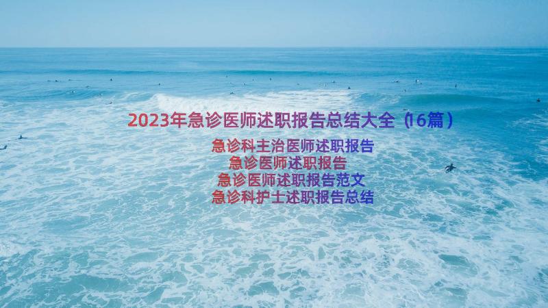 2023年急诊医师述职报告总结大全（16篇）