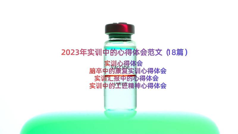 2023年实训中的心得体会范文（18篇）