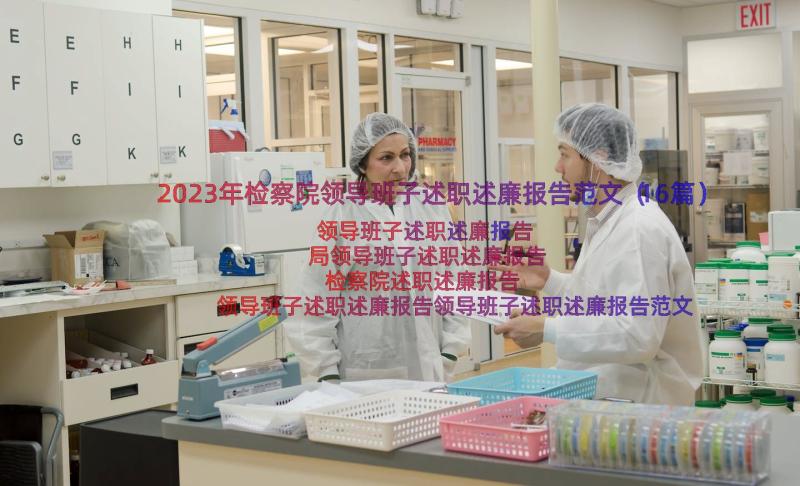 2023年检察院领导班子述职述廉报告范文（16篇）