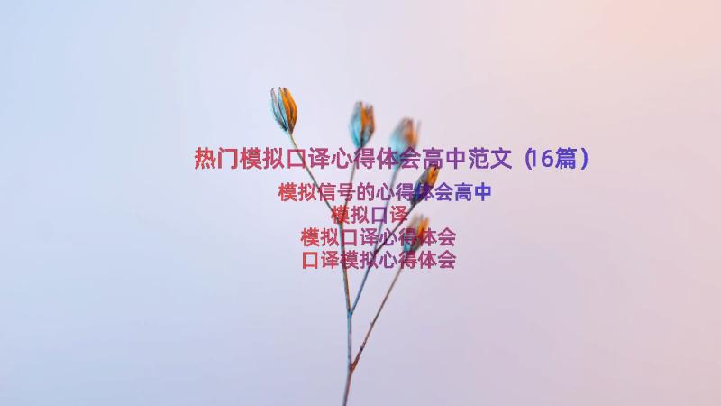 热门模拟口译心得体会高中范文（16篇）