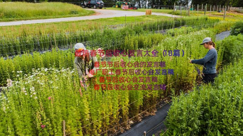 最热春节后收心发言大全（18篇）