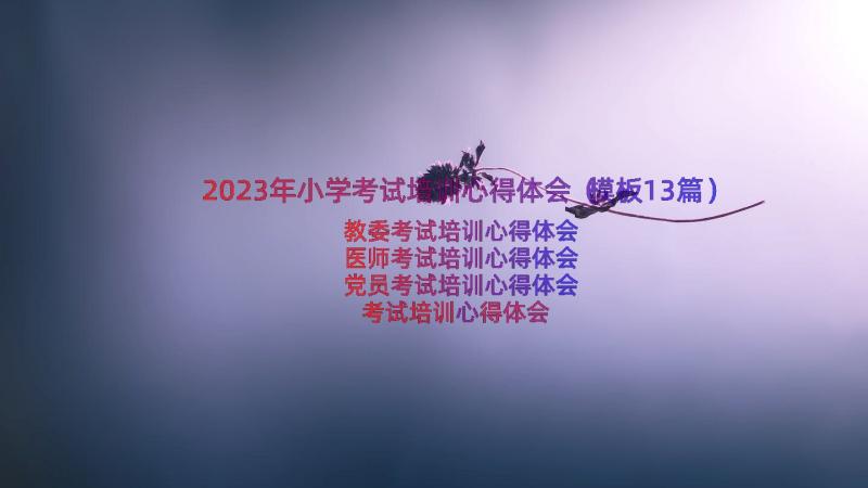 2023年小学考试培训心得体会（模板13篇）