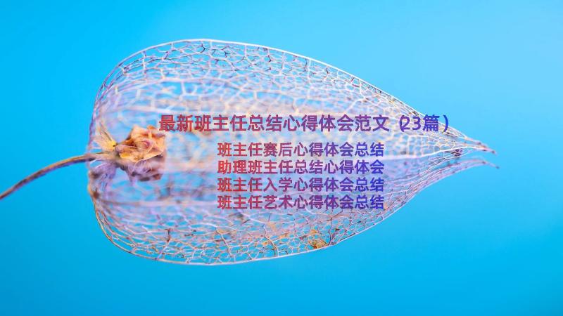 最新班主任总结心得体会范文（23篇）