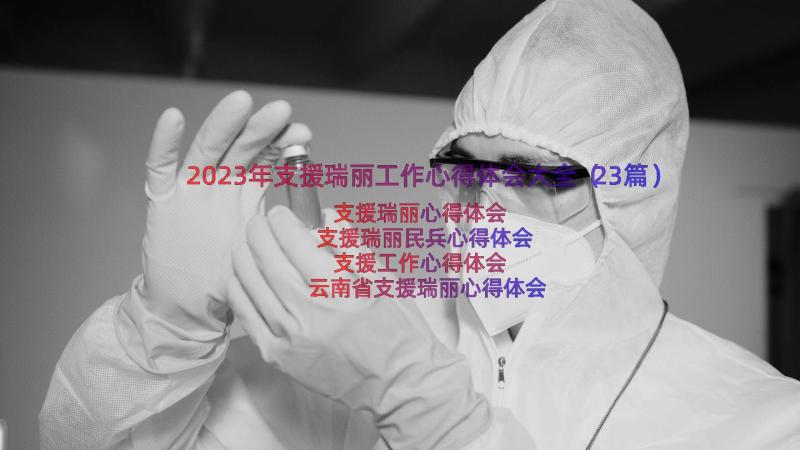 2023年支援瑞丽工作心得体会大全（23篇）