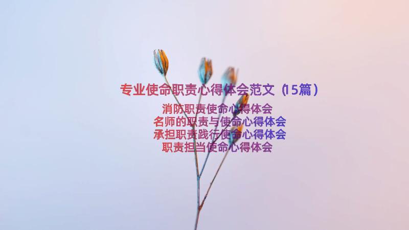 专业使命职责心得体会范文（15篇）