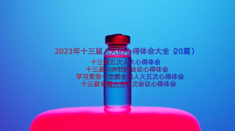 2023年十三届人大的心得体会大全（20篇）