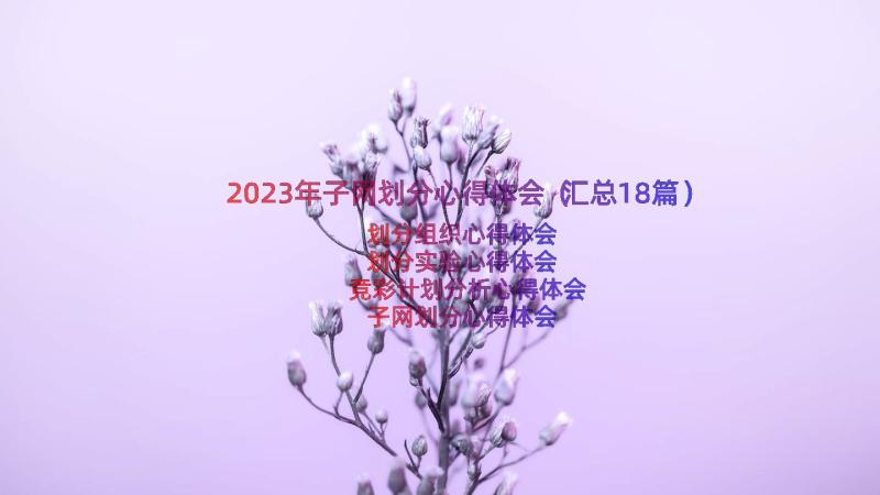 2023年子网划分心得体会（汇总18篇）