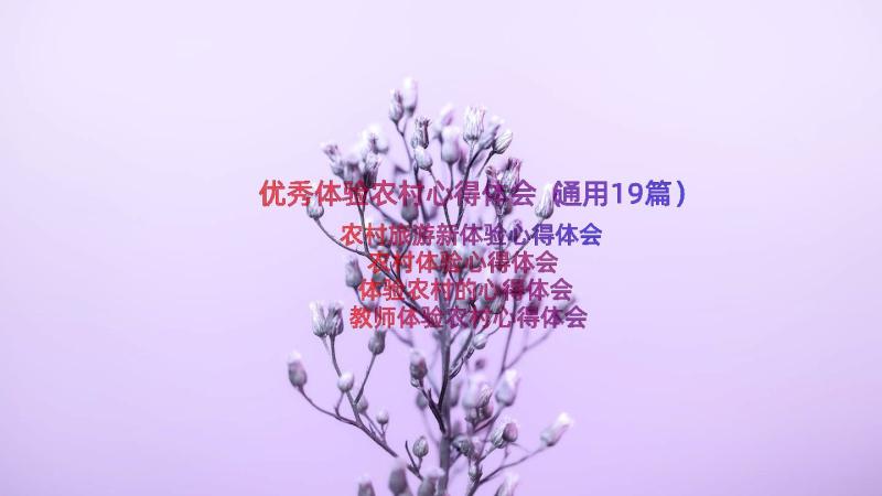 优秀体验农村心得体会（通用19篇）