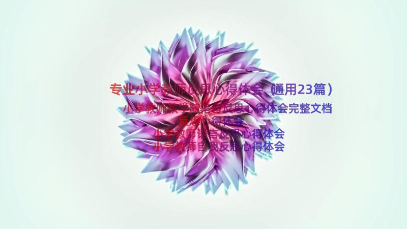 专业小学教师反思心得体会（通用23篇）