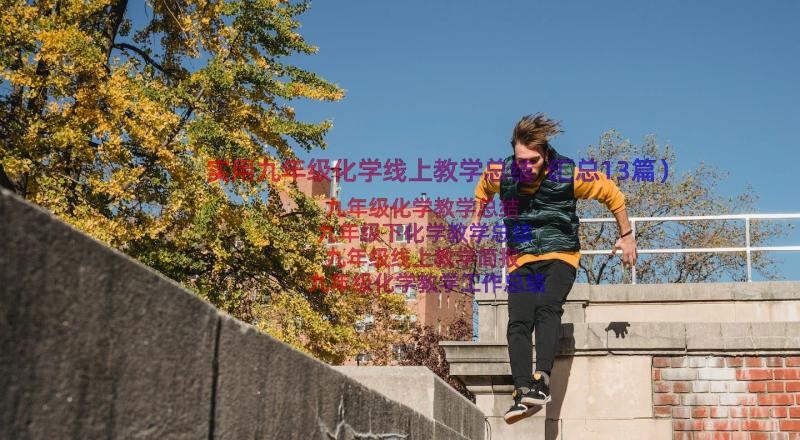 实用九年级化学线上教学总结（汇总13篇）