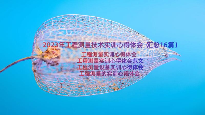 2023年工程测量技术实训心得体会（汇总16篇）