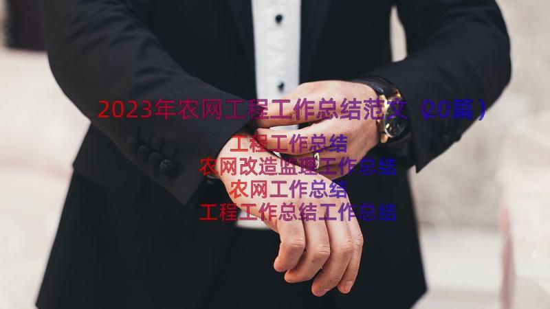 2023年农网工程工作总结范文（20篇）