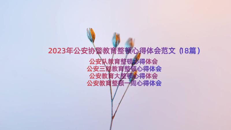 2023年公安协警教育整顿心得体会范文（18篇）