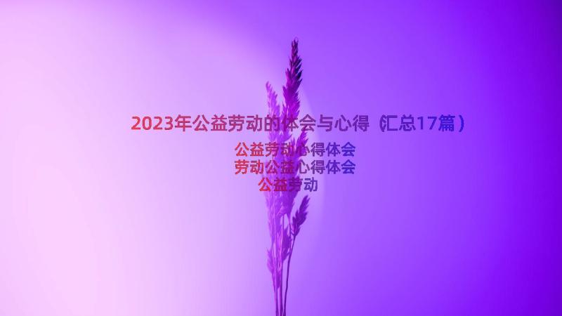 2023年公益劳动的体会与心得（汇总17篇）