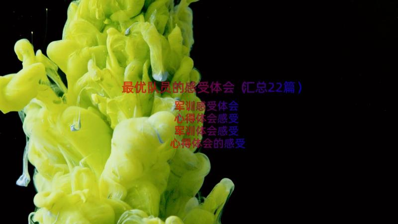 最优队员的感受体会（汇总22篇）