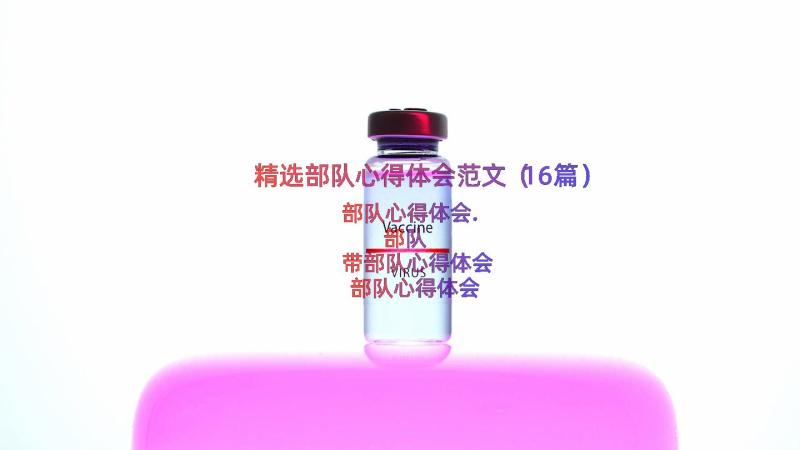 精选部队心得体会范文（16篇）