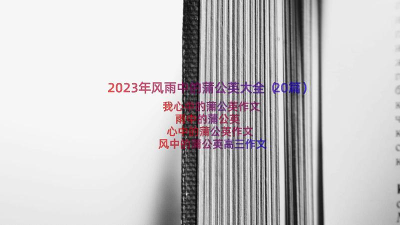 2023年风雨中的蒲公英大全（20篇）