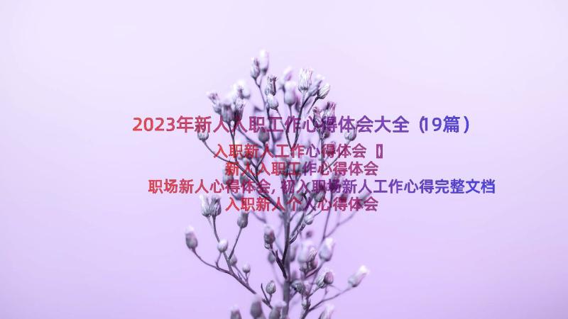 2023年新人入职工作心得体会大全（19篇）