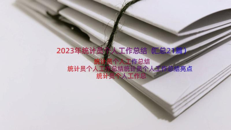 2023年统计员个人工作总结（汇总21篇）