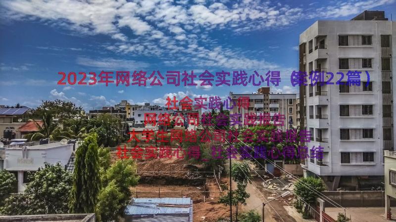 2023年网络公司社会实践心得（案例22篇）