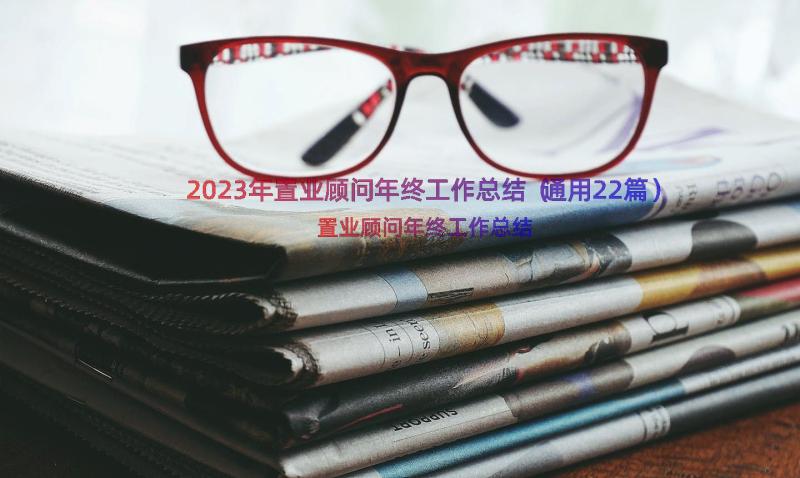 2023年置业顾问年终工作总结（通用22篇）