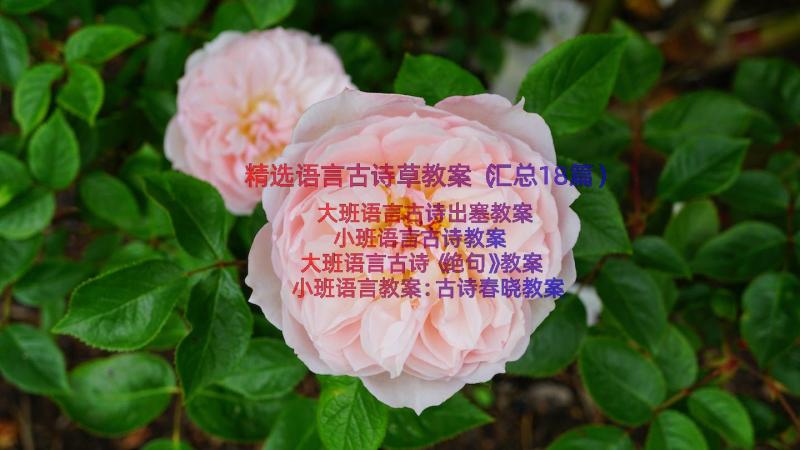 精选语言古诗草教案（汇总18篇）