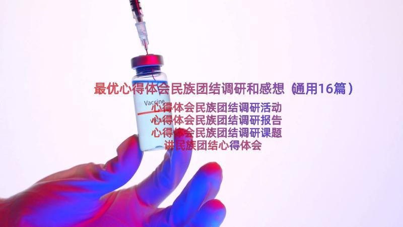 最优心得体会民族团结调研和感想（通用16篇）