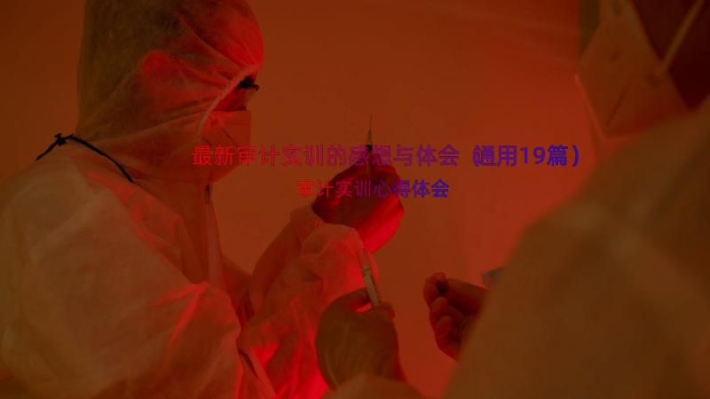 最新审计实训的感想与体会（通用19篇）